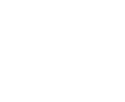 Moax Dragon