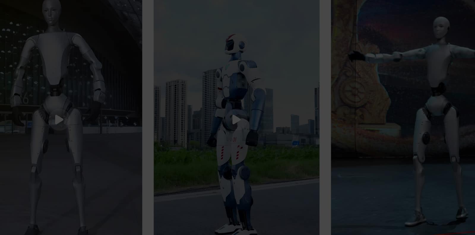 Robexa